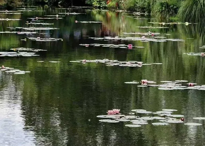 Nocleg ze śniadaniem Le Clos Morin - D'hotes